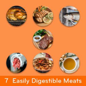 high quality foods that are easily digestabel